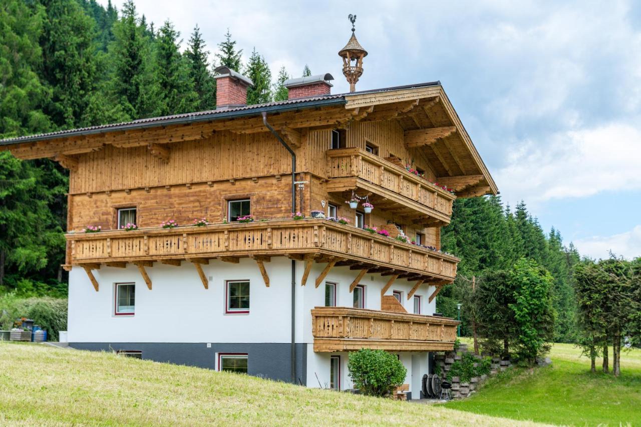 Kesselgrubs Apartements Ski & Badeglueck Eben Im Pongau Zewnętrze zdjęcie